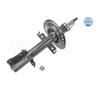 MEYLE Ammortizzatore Anteriore per Renault Kangoo Express FW0/1_ KW0/1