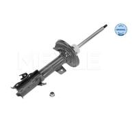 MEYLE Ammortizzatore Anteriore Sinistro Adatto Per Ford Fiesta VI Van