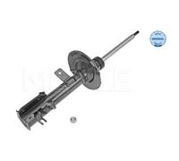 MEYLE Ammortizzatore Anteriore Sinistro Compatibile Per Fiat Panda 169 169_ Van