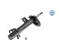 MEYLE Ammortizzatore Anteriore Sinistro Per MINI Mini R50 R53 R52 Cabriolet