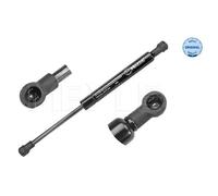 MEYLE Ammortizzatore Gas Della Cappotta Compatibile Per BMW X5 E53 340 910 0003