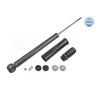 MEYLE Ammortizzatore Posteriore Adatto Per Dacia Duster HM_ Renault HM Furgone