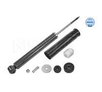 MEYLE Ammortizzatore Posteriore Adatto Per Smart Fortwo Cabrio 451 Coupe
