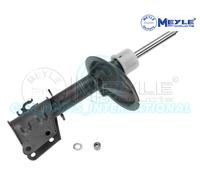 Meyle Ammortizzatore Strut Anteriore 226 623 0006