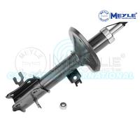 Meyle Ammortizzatore Strut Anteriore Sinistro 29-26 623 0002
