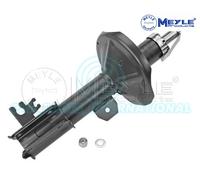 Meyle Ammortizzatore Strut Anteriore Sinistro 29-26 623 0004