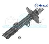 Meyle Ammortizzatore Strut Anteriore Sinistro 30-26 623 0018