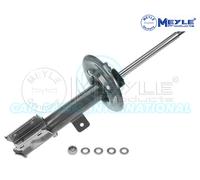 Meyle Ammortizzatore Strut Anteriore Sinistro 40-26 623 0015