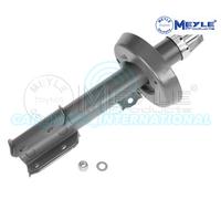 Meyle Ammortizzatore Strut Anteriore Sinistro 626 623 0013
