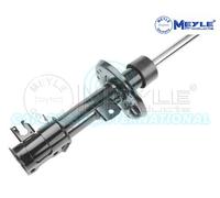 Meyle Anteriore Destro Montante Sospensione Ammortizzatore 40-26 623 0014