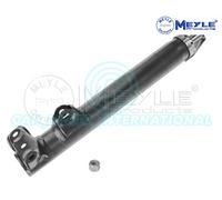 Meyle Anteriore Montante Sospensione Ammortizzatore 026 623 0005