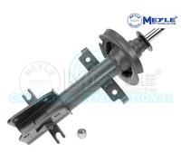 Meyle Anteriore Montante Sospensione Ammortizzatore 16-26 613 0000