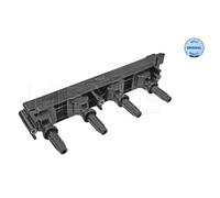 MEYLE Bobina Accensione Modulo per Peugeot 307 Cc 2.0 16V 807 2.2 407 1.8