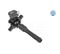 MEYLE Bobina D'Accensione Modulo per BMW 5er 523i 520i 528i 525i 530i 540i 535i