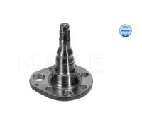 MEYLE Braccio Oscillante Nocca Sospensione Ruota Posteriore Dx per VW Golf III