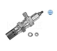 MEYLE Candelette Adatto A per Citroën Jumper Cassone 2.8 HDI 4x4 Peugeot Boxer