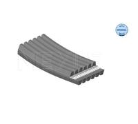 MEYLE Cinghia A Coste Adatta Per BMW 1 Serie 118D 116D 120D 123D X1