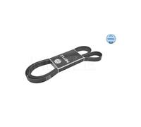MEYLE Cinghia Multiribata Per Ford Transit 1376751 1440086