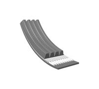 MEYLE Cinghia Poly-V 0500040845