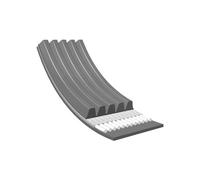 Meyle Cinghia Scanalata 5PK1238 1238mm 5 Alette - Ventilatore Alternatore