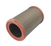 Meyle Filtro aria cartuccia 36-123210016 per Renault Clio II, Nissan Kubistar