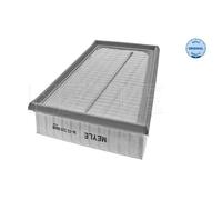 MEYLE Filtro Aria Compatibile Per Renault Scénic II Grand Megane