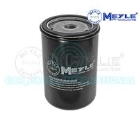 Meyle Filtro Carburante, Avvitabile Filtro 114 323 0001