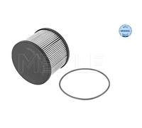 MEYLE Filtro Carburante Per Ford Kuga II Peugeot Expert Tepee Citroën C5 III