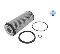 MEYLE Filtro Olio Inserto Filtro per BMW X5 xDrive30d xDrive40d 5er