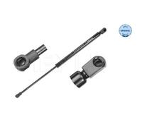 MEYLE Gasfeder Dämpfer Heckklappe Adatto Per VW Golf V 1K1 1.4 16V 140 910 0051