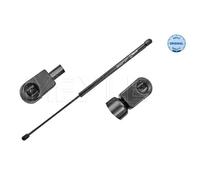 MEYLE Gasfeder Dämpfer Heckklappe Passante Per VW New Beetle 9C1 1C1 2.0