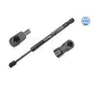 MEYLE Gasfeder Dämpfer Heckklappe Passend Per Audi A6 4F2 C6 2.4 140 910 0023