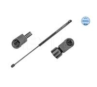 MEYLE Gasfeder Dämpfer Heckklappe Passend Per Ford Focus C-Max DM2 1.6
