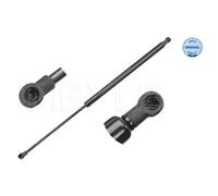MEYLE Gasfeder Dämpfer Heckklappe Passend Per Peugeot 206 SW 2E/K 1.4