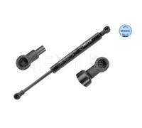 MEYLE Gasfeder Dämpfer Heckklappe Per Ford Focus Stufenheck DFW 1.6 16V