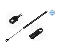 MEYLE Gasfeder Dämpfer Motore Compatibile Per BMW 5 Serie E28 340 160 3718