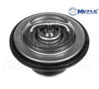 Meyle Germania Termostato, Refrigerante con Guarnizione 028 280 0004