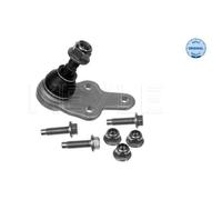 MEYLE Giunto Sferico Inferiore Anteriore Sinistra per Ford Focus II Volvo V50