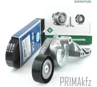 Meyle Keilrimmen + Ina Tenditore per Audi A3 VW Golf V Passat Touran 1.9 2.0 Tdi