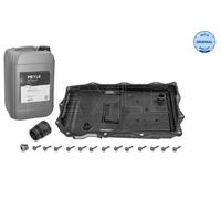 MEYLE Kit Di Ricambio Cambio Automatico Per BMW 1 Serie 118I 116I X3 MAN TGE