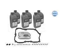 MEYLE Kit pezzi, cambio automatico-cambio olio 1001350107