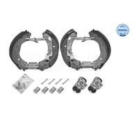 MEYLE Kit Ganasce Freno Posteriore per Fiat Ducato Camion Pianale /