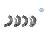 MEYLE Kit Ganasce Freno Posteriore per Mitsubishi COLT VI Z3_A Z2_A