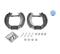 MEYLE Kit Ganasce Freno Posteriore per Renault di Yamuna Ho C06_ Clio B/C57 _
