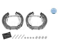 MEYLE Kit Ganasce Freno Posteriore per Renault Twingo II CN0_ Clio BB