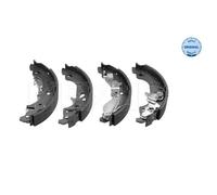 MEYLE Kit Ganasce Freno Posteriore Senza Molla con Leva per Fiat Punto