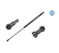MEYLE Molla a Gas Ammortizzatore per Renault Laguna II BG0/1_ 2.0 16V