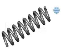 Molla autotelaio Assale posteriore per MERCEDES-BENZ CLASSE C CLASSE E CLK