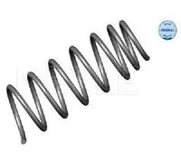 Meyle Coil Spring 1006390029