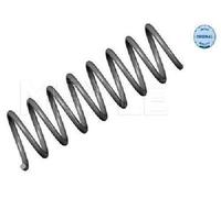 MEYLE Molle Telaio Molla Spirale Assale Posteriore per BMW 5er E60